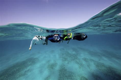 Snorkeling Vs Scuba Diving 5 Major Differences You Must Know