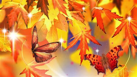 Autumn Leaves And Butterflies Hd Wallpaper Background Image 1920x1080