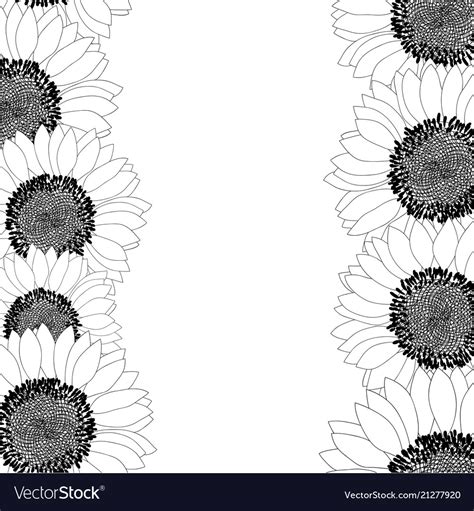 Sunflower Border Outline Royalty Free Vector Image