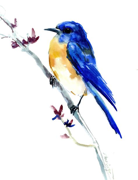 Eastern Bluebird Original Watercolor Painting In 2020 Original