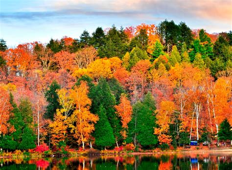 Where To Take Your Fall Foliage Road Trip