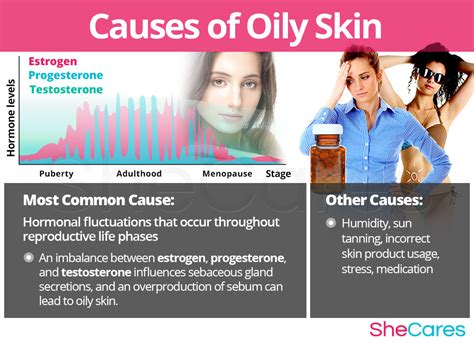 Oily Skin Shecares