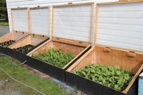 Easy Diy Instructions For First Time Cold Frame Builders Veggie