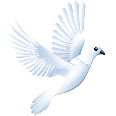 Dove Frame Png