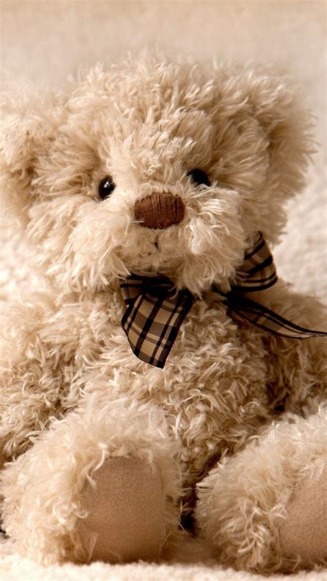 Beautiful Teddy Bear Wallpaper Hd Werohmedia