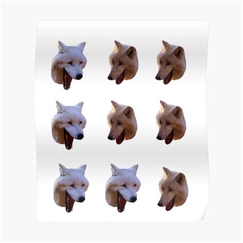 Laughing Wolves Meme Pack Sticker Poster For Sale By Spartian Redbubble