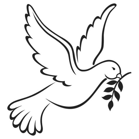 Download Columbidae Peace Symbols As Beak White Doves Hq Png Image