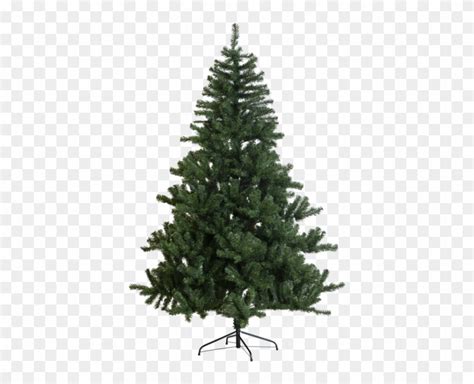 Real Christmas Tree Images Png Christmas Tree Png And Psd Images