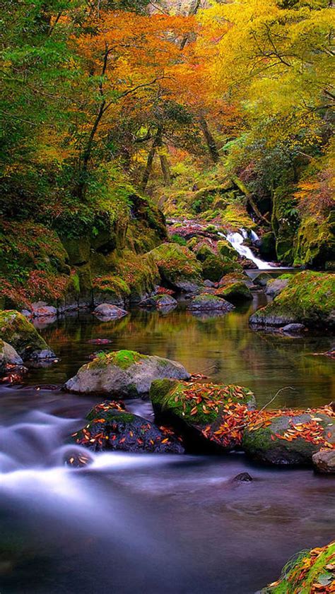 Download Autumn Iphone Rocky Forest Creek Wallpaper