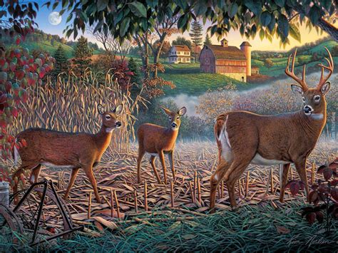 Field Of Dreams By Artist Kim Norlien Wildlife Art Art Deer Art