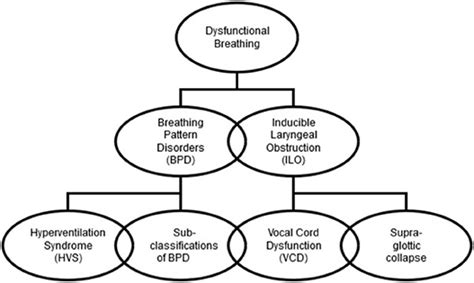 Frontiers Pediatric Dysfunctional Breathing Proposed Components