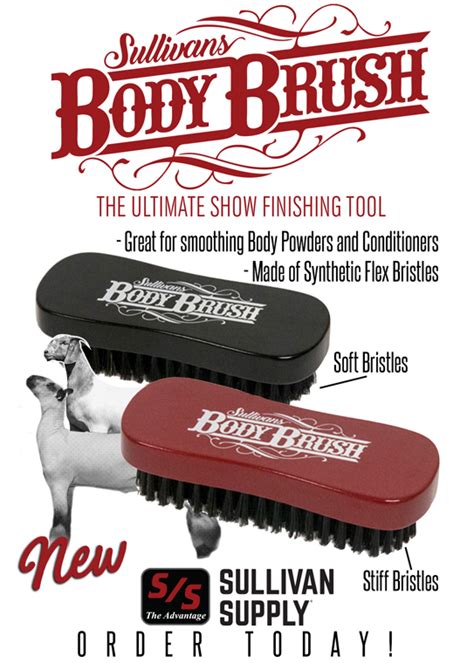 new sullivan s body brush the ultimate show day finishing tool the pulse