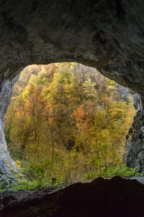 View From Inside A Cave Looking Out To Autumn Forest Stock Image