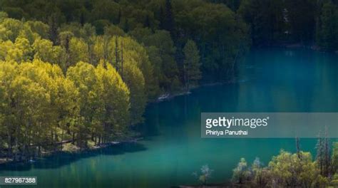 Kanas Lake Photos And Premium High Res Pictures Getty Images
