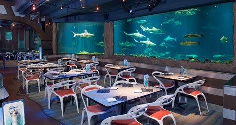 Seaworld Orlando Sharks Underwater Grill Magical Dining Month