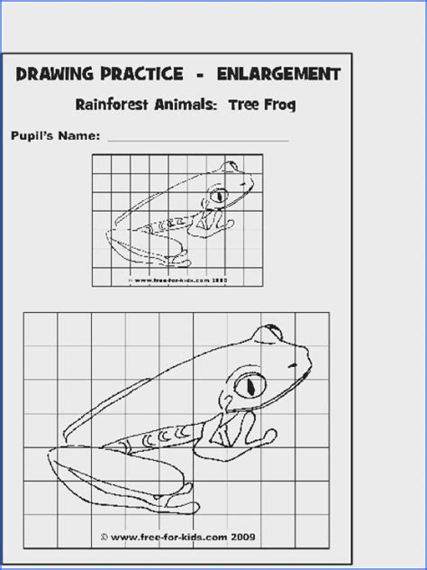 Grid Drawing Worksheets Pdf Pic Owls