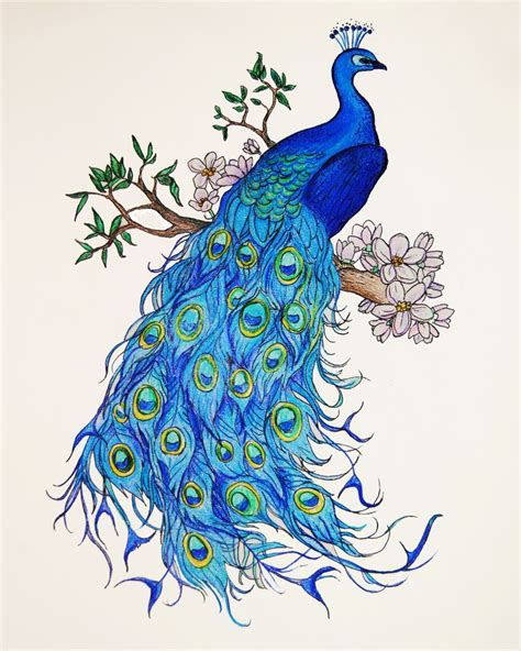 Pin By Anastasia Poling Miller On Pretty Peacock Peacock Art Peacock Painting Art