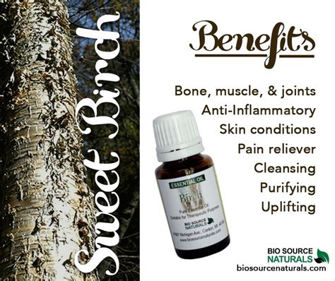 Store Bio Source Naturals Healing Oils Birch Essential Oil Herbal Oil