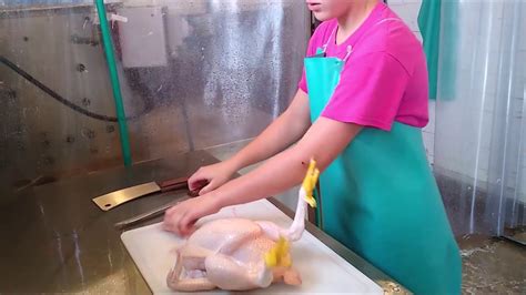 Butchering Processing Chickens YouTube