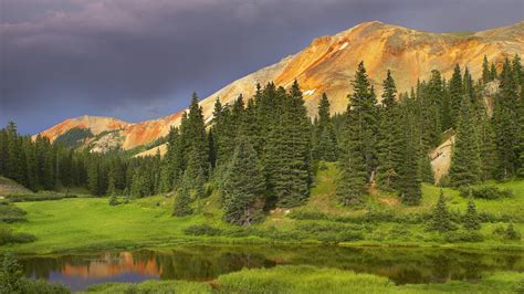 Download Wallpaper 1920x1080 Coniferous Forest Mountains Cloudy Lake
