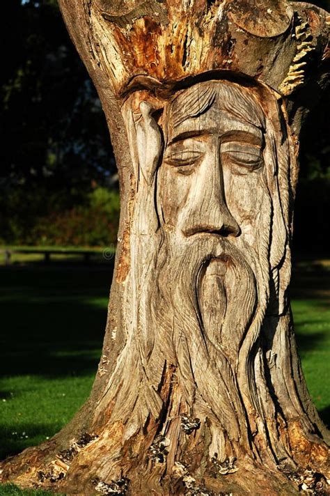 Wooden Tree Sculpture Stock Photo Image Of Wood Park 12686650