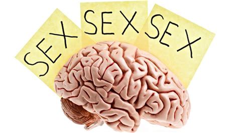 ¿cómo Afecta La Pornografía A Nuestro Cerebro La Opinión De A Coruña