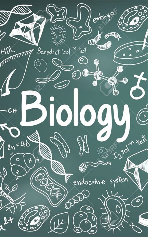 Aesthetic Biology Wallpapers Top Free Aesthetic Biology Backgrounds