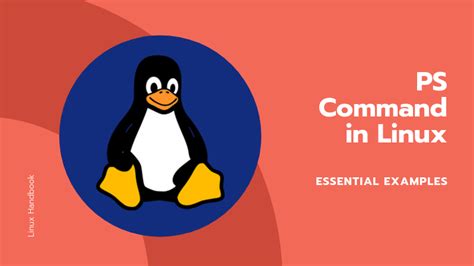 Essential Examples Of The Ps Command In Linux