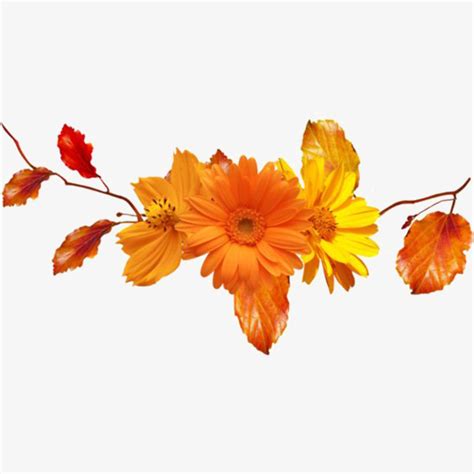 Download High Quality Orange Clipart Flower Transparent Png Images