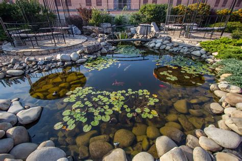 Nine Different Types of Ponds for Your Garden - pondlovers.com