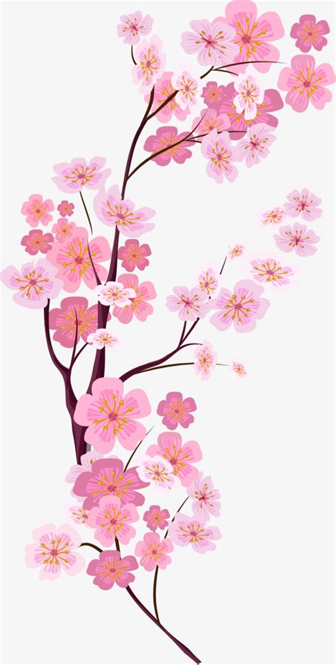 Check spelling or type a new query. Collection of Sakura Flower PNG HD. | PlusPNG
