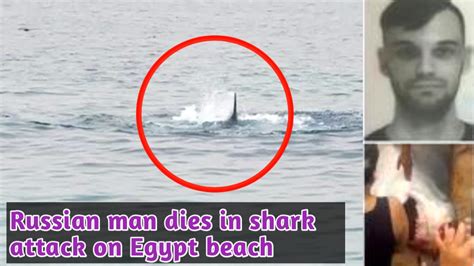 Latest Trending News Of The World Shark Attack Egypt Video Russian