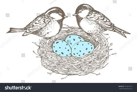 Nest With Eggs And Birds Are Separate Groups All Fills And Outlines