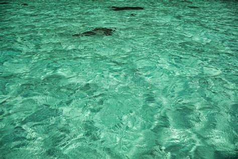 Crystal Clear Water On The Shores Of The Magical Island Koh Lipe Stock