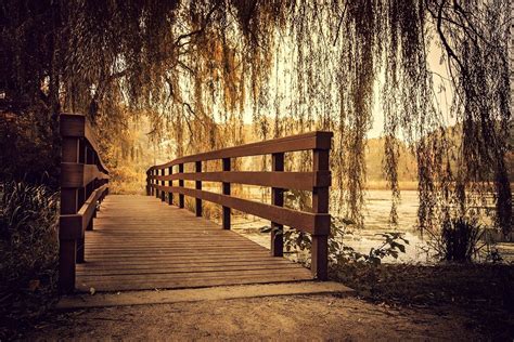 Brown Wooden Bridge Nature Photography Landscape Wooden Surface Hd