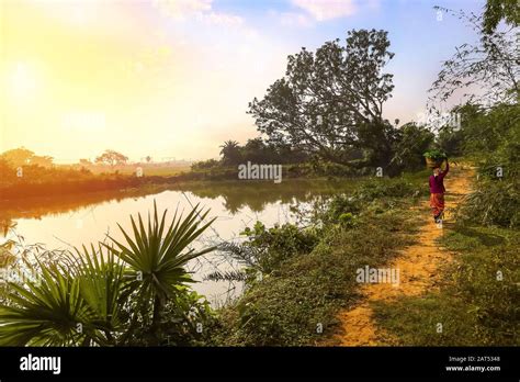 Village Road India High Resolution Stock Photography And Images Alamy