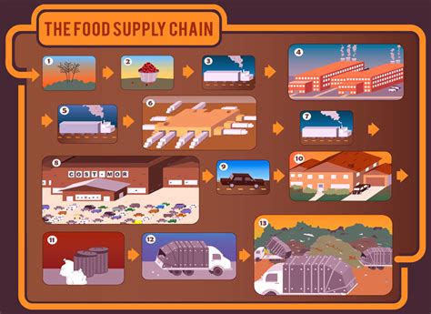 The Food Supply Chain By Rahul Kamath Designlab Uwmadison
