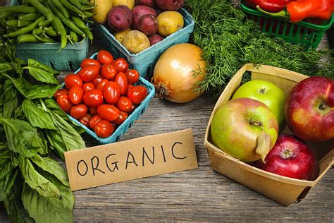 The Benefits Of Organic Farming A Comprehensive Look Healthier Steps