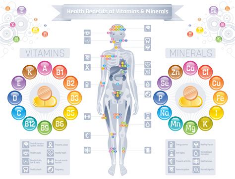 Printable When To Take Vitamins Chart