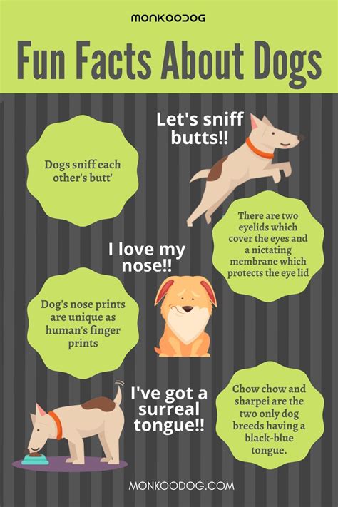 Interesting Facts About Dogs