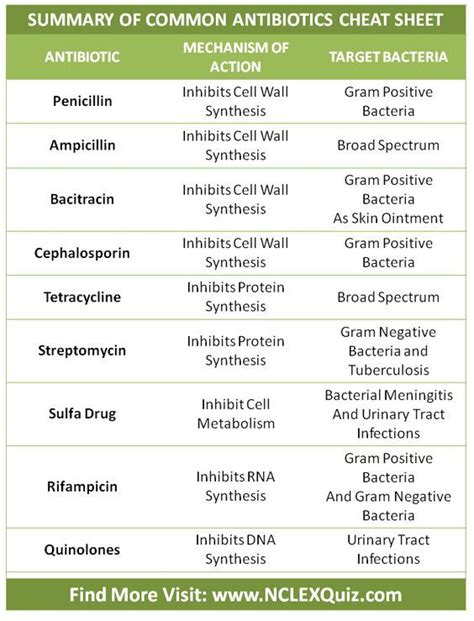 Common Antibiotics Cheat Sheet ~ Infographic Pharmacology Nursing