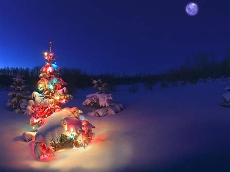 Christmas Lights And Snow Wallpaper Knowhowaprendizagem