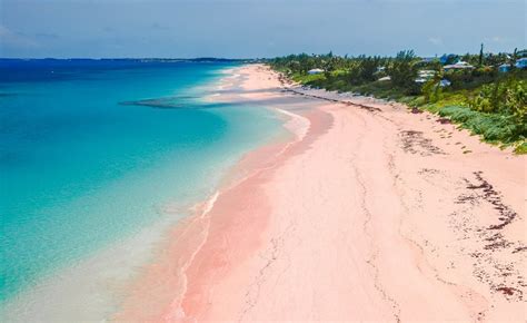 Pink Beach • Caribbean