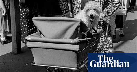 Snapshots Of British Eccentricity In Pictures Art And Design The