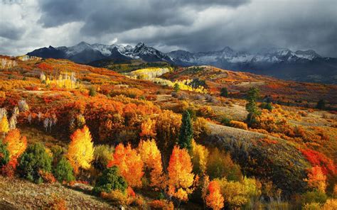 Nature Landscape Fall Forest Mountain Colorado Snowy