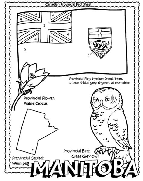 7 Sacred Teachings Coloring Coloring Pages