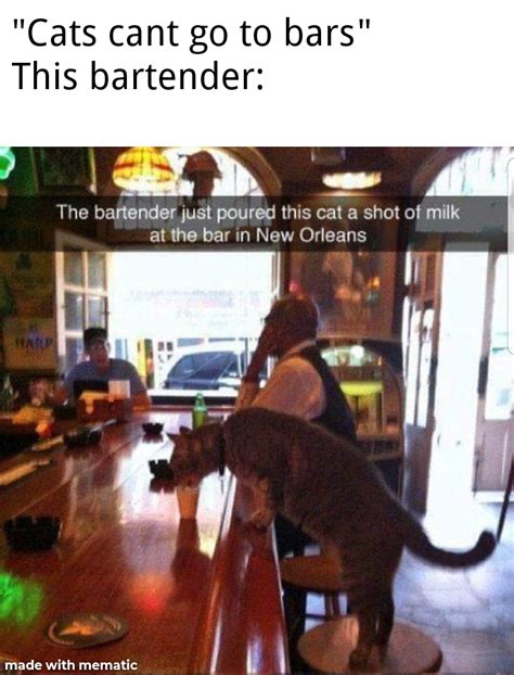 Best Bartender Rwholesomememes Wholesome Memes Know Your Meme