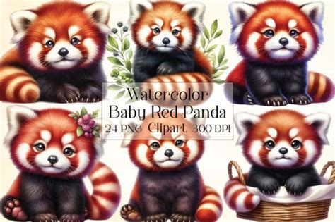 Watercolor Baby Red Panda Clipart Graphic By Craftartstudio · Creative