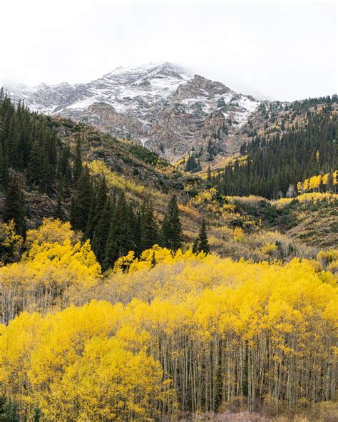 Fall Color In Aspen Colorado Rmostbeautiful