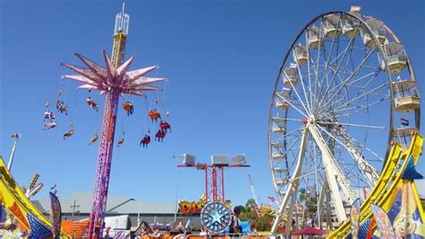 We did not find results for: Ekka 2018: Show bags, tickets, cheap parking, public ...